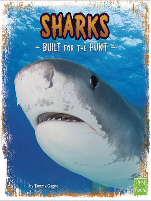 cover image of Sharks